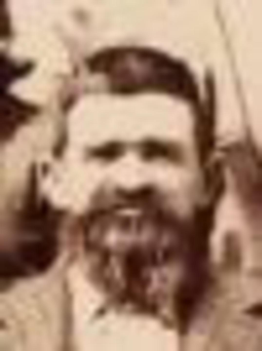 Nephi Owens (1844 - 1927) Profile